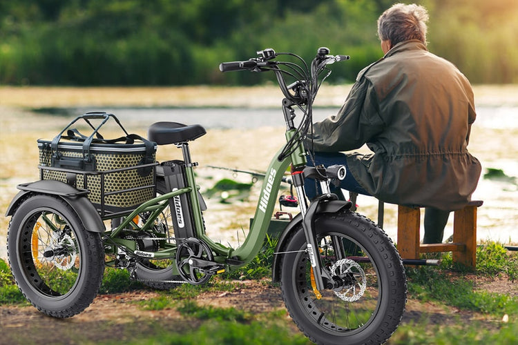 Electric Tricycle: Everything You Want to Know About the 3 Wheels Electric Bike