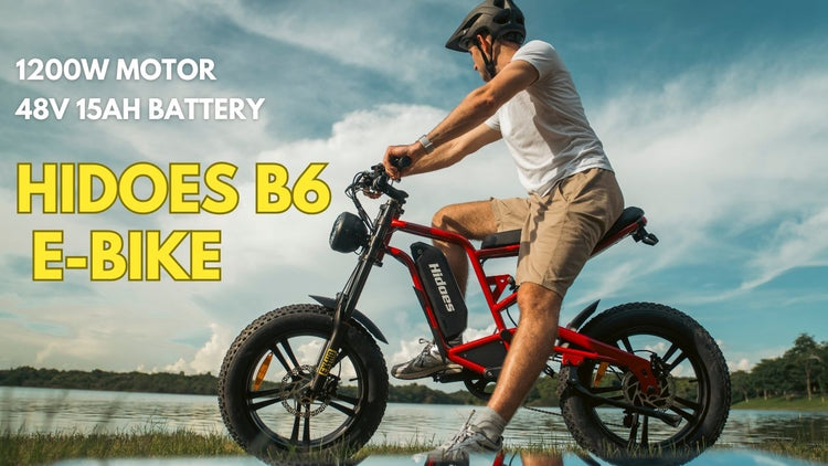 Fat Tire E-Bike