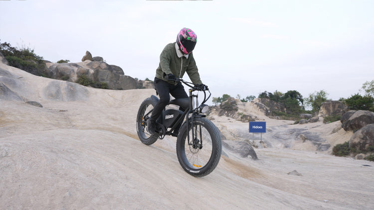 Electric Bike for Sale