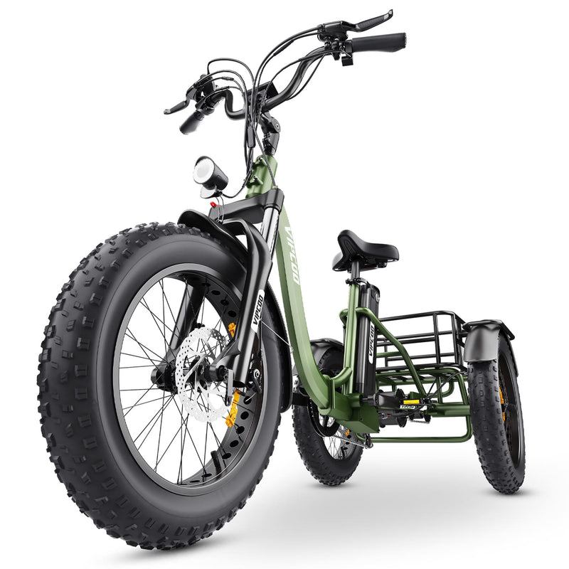Chargez l'image dans la visionneuse de la galerie, Tricycle électrique Hidoes ET1