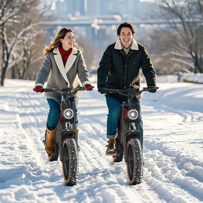 Load image into Gallery viewer, Hidoes B10 Electric Bike