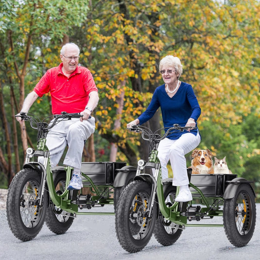 Tricycle électrique Hidoes ET1