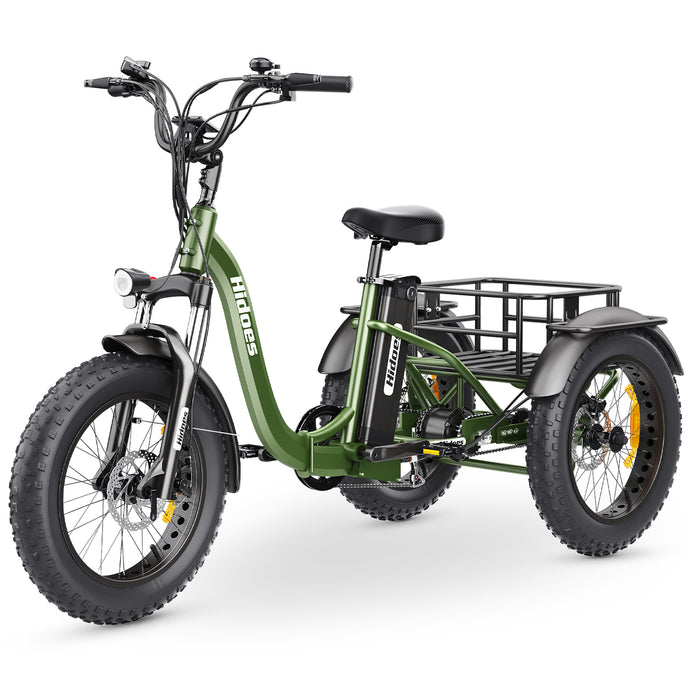 Electric Bike with Sidecar vs. Electric Tricycle: Which is Better?
