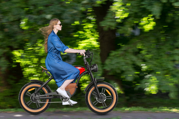 Exploring the World of Long Range Electric Bikes: A Comprehensive Guide