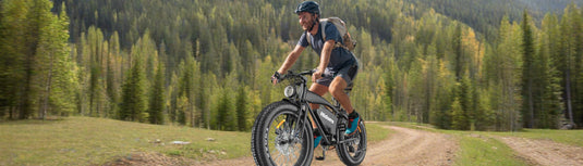 Hidoes B3 26 INCH ELECTRIC BIKE