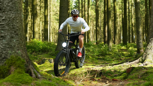 Folding Electric Bike