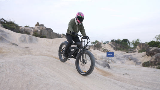 Electric Bike for Sale