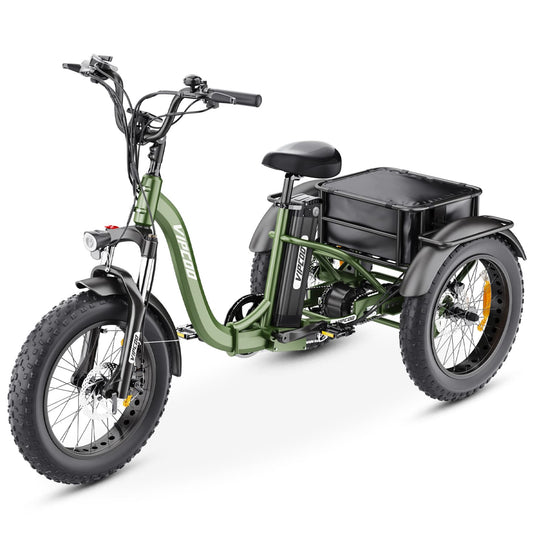 VIPCOO ET1 Electric Tricycle