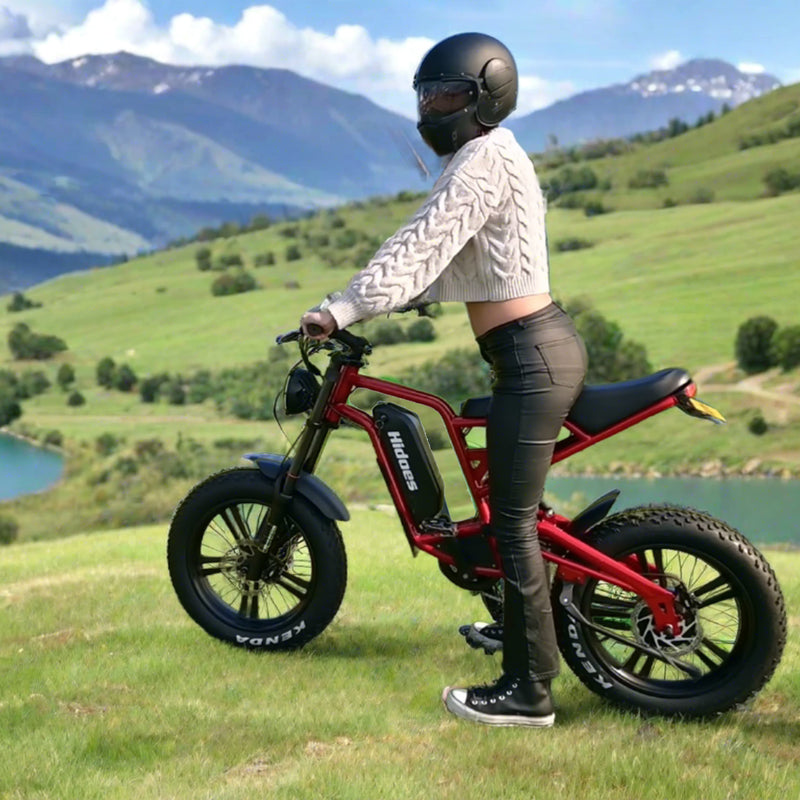 Load image into Gallery viewer, Hidoes® B6 1200W Electric Fat Bike, 20&quot;x4&quot; Fat Tire eBike, 48V 15Ah Battery, 50 Miles Long Range - Red Color
