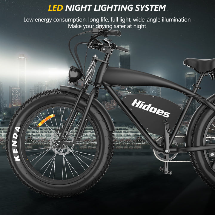 Hidoes B3 Fat Tire Electric Bike | Long Range Electric Bike