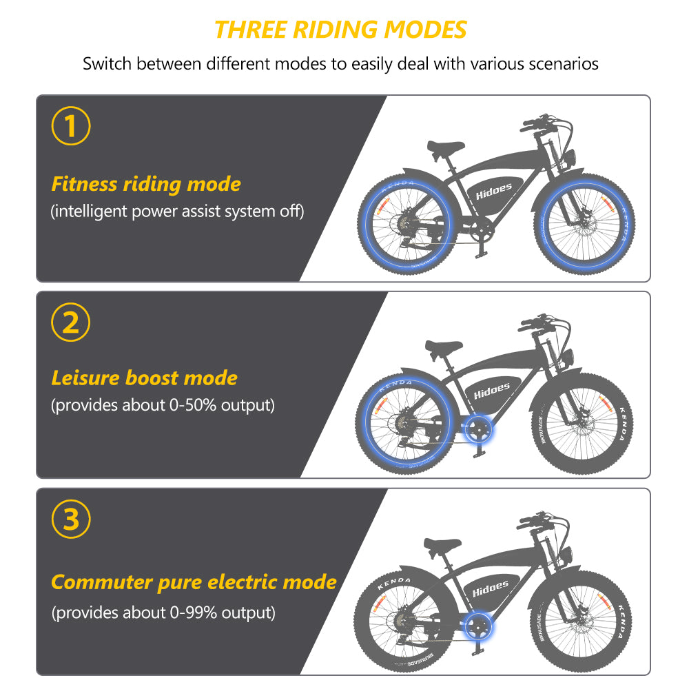 Hidoes® B3 1200W Electric Bike | Retro Fat Tire Electric Bike | 48V 18.2Ah Battery, Long Range 60 Miles