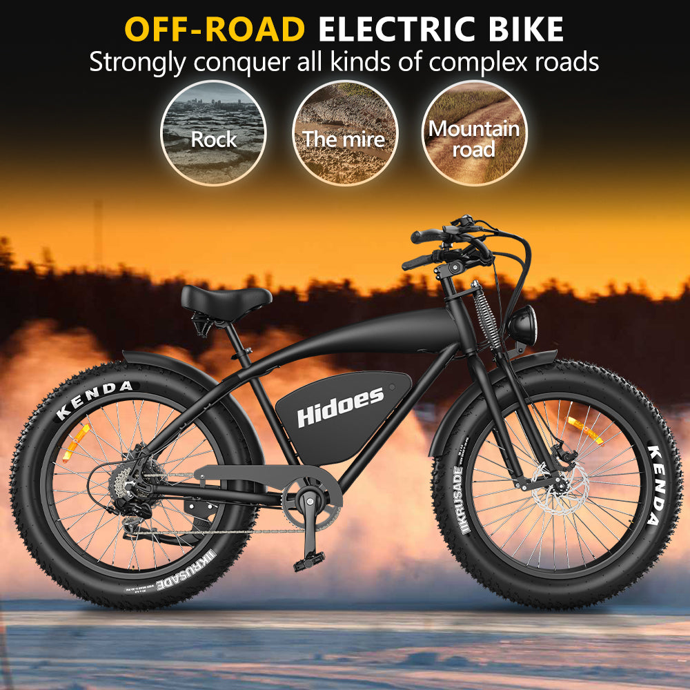 Hidoes® B3 1200W Electric Bike | Retro Fat Tire Electric Bike | 48V 18.2Ah Battery, Long Range 60 Miles