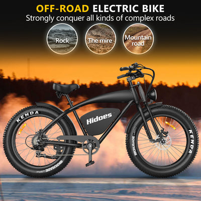 Hidoes B3 Fat Tire Electric Bike | Long Range Electric Bike