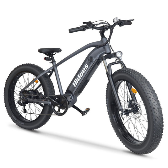 Hidoes® B5 1200W Mountain Electric Bike | 26