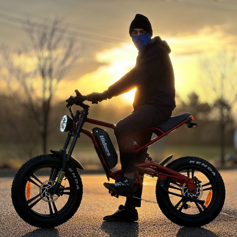 Load image into Gallery viewer, Hidoes B6 1200W fat tire electric bike
