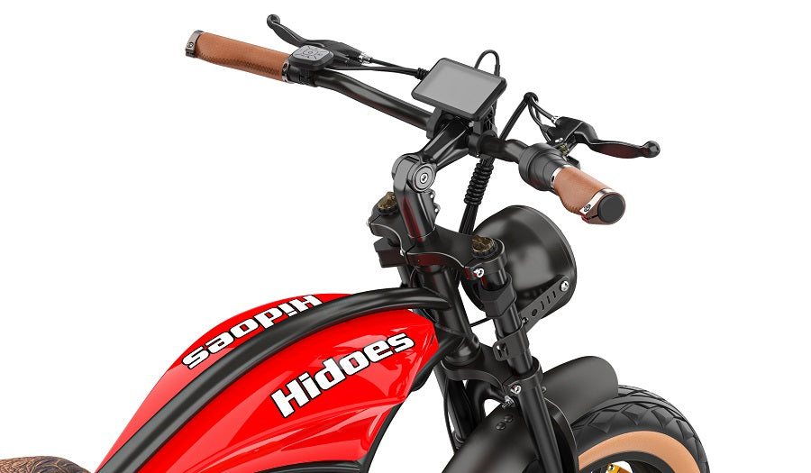 Hidoes B10 fat tire electric bike with Large-size Display Screen