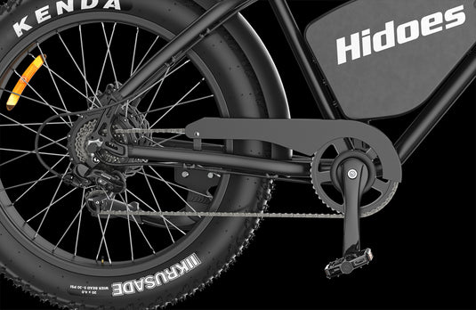 Hidoes B3 fat tire electric bike with Crankset