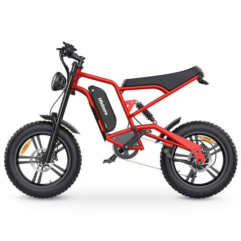 Hidoes B6  Electric Bike for Adults