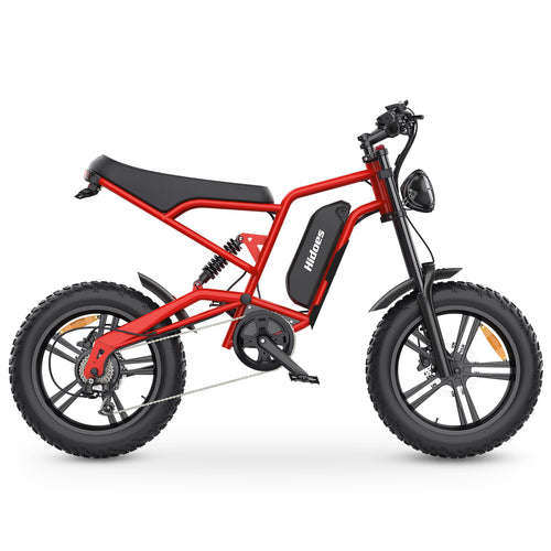 Hidoes B6  Electric Bike for Adults