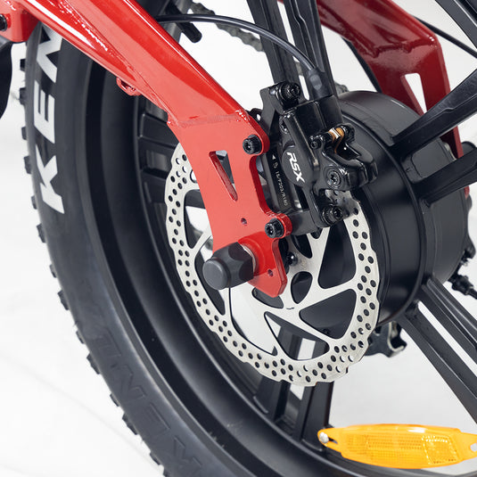 Hidoes B6 fat tire electric bike with disc brake