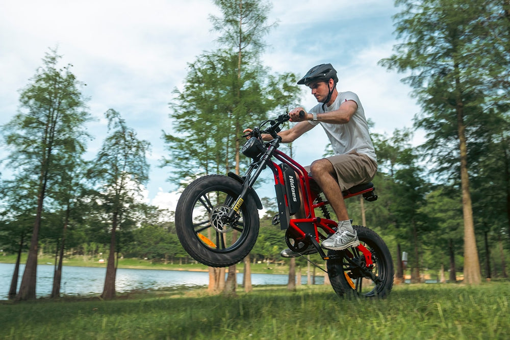 A man rides his Hidoes B6 electric bike on a grassy field near a lake.