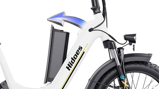 Electric Bike with Battery Removeable
