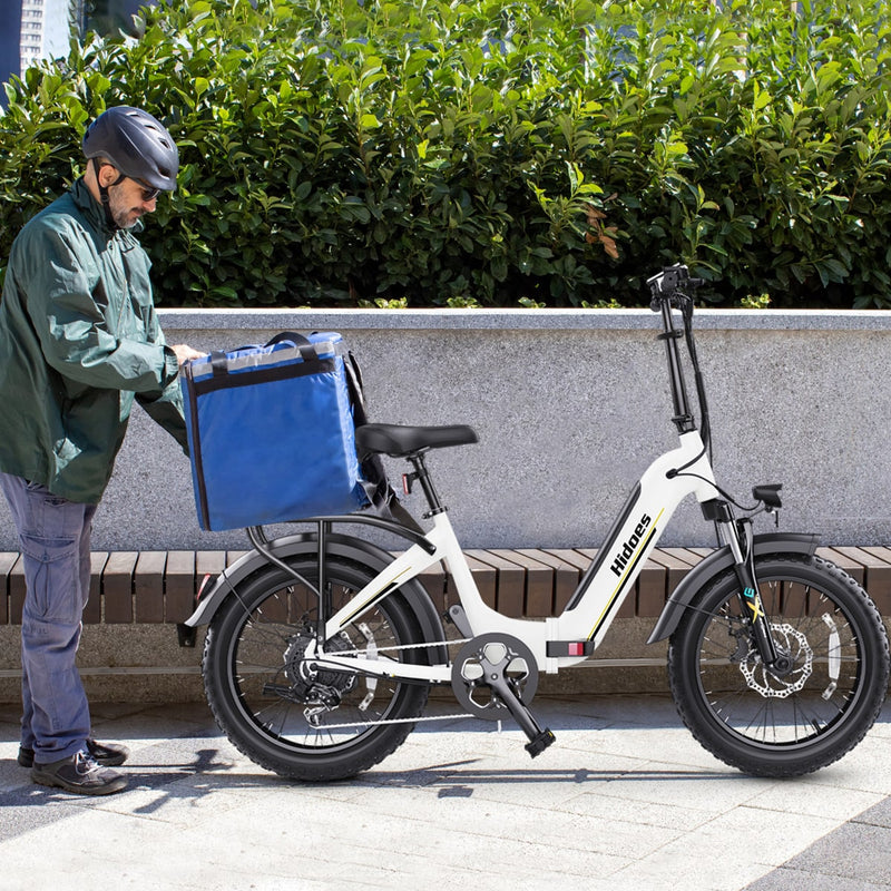 Load image into Gallery viewer, Hidoes BF1 Step Through Folding Electric Bike
