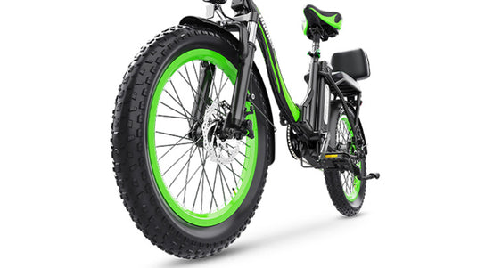 Hidoes C1 20 inch electric bike