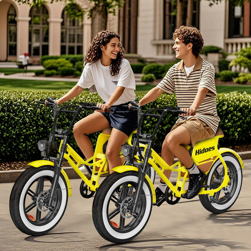 Best budget fat bike online