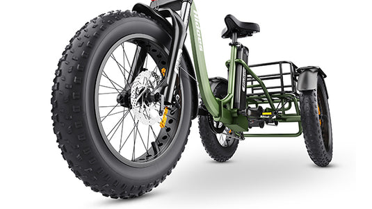 Hidoes ET1 3 wheel ebike for adults with 20
