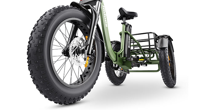 Hidoes ET1 3 wheel ebike for adults with 20"*4" fat tire