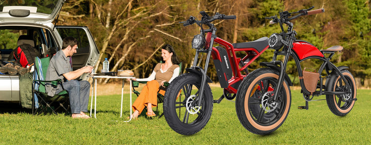Hidoes fat tire ebikes, enjoy your spring riding.