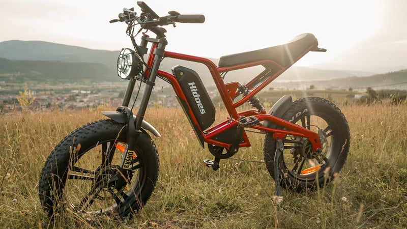 Hidoes b6 fat tire electric bike reviewed by TechUtopia