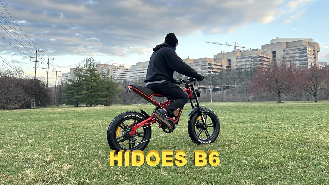 Hidoes B6 VIDEO